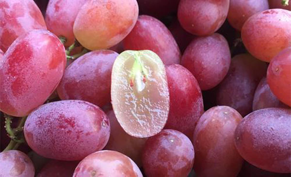 ����Ƥ���Գ��� ��������Ƥ����ɶӰ��